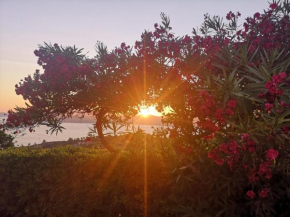 La casa sul tramonto - Capoliveri - services included